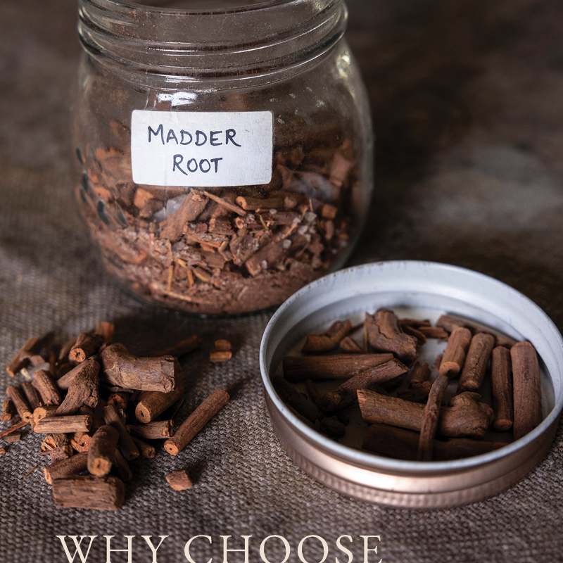 Natural Dyeing madder Root